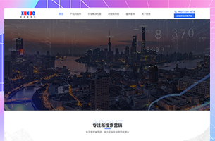 网络营销新媒体行业公司模板