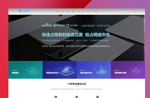 某网络公司网站SEO优化模板