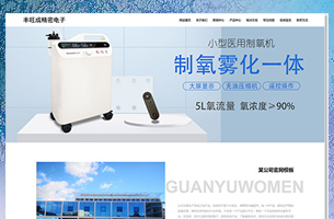 某电子公司自适应模板通用型