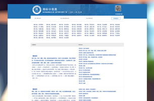 商标分类表完整数据模板