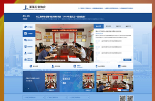 某协会平台模板原创div