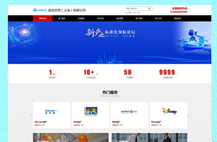 某企业体系认证RCS认证模板